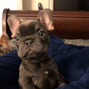 Meet your Posher, Raymond